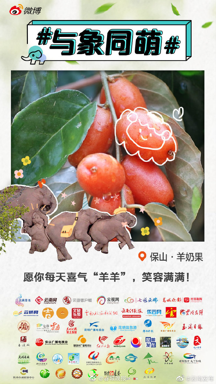 保山羊奶果：咦？怎么吃起来没有羊奶味？