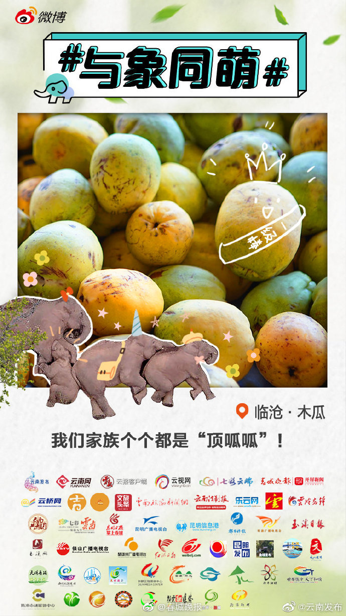 临沧木瓜：深深嗅一口，是远山森林的味道