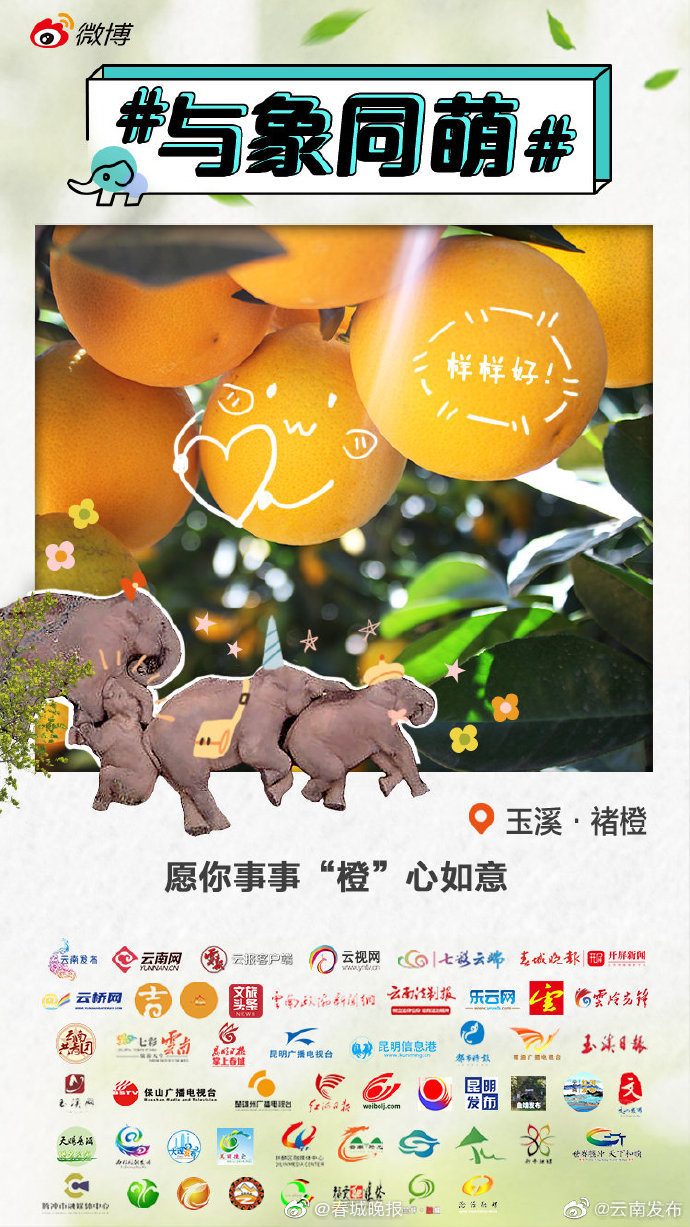 玉溪褚橙：美味，把控得住