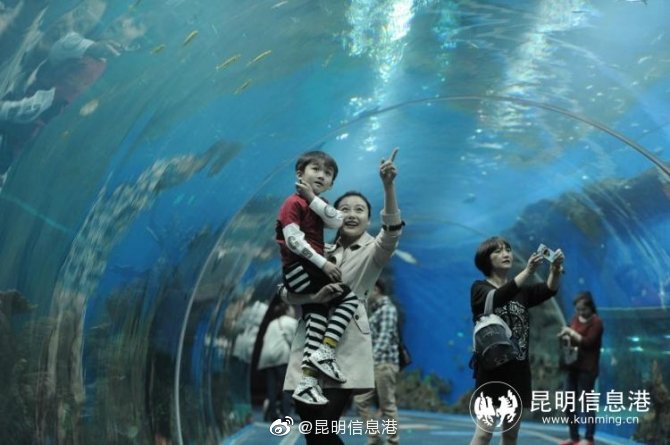 昆明信息港微博