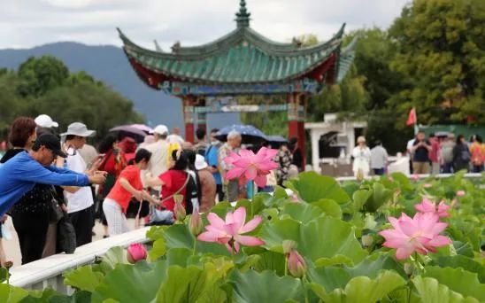 云南省人民政府网