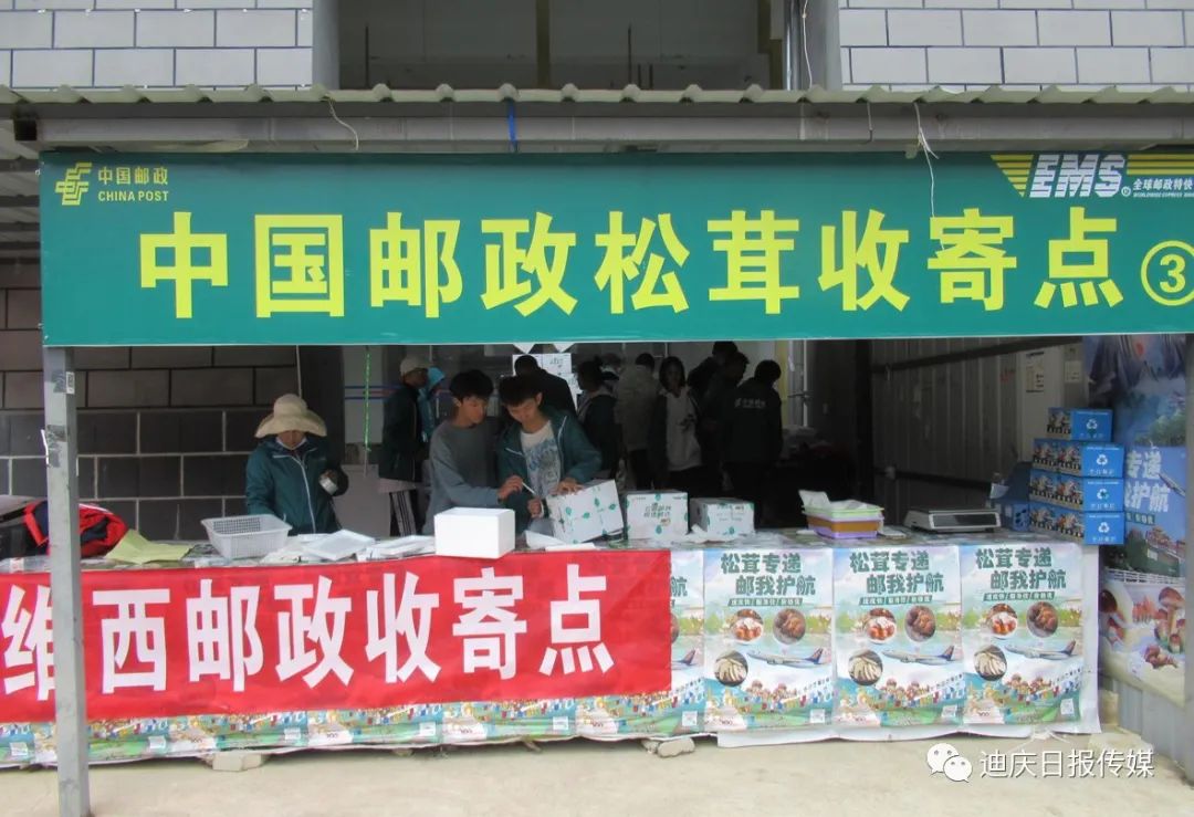迪庆日报传媒(微信)