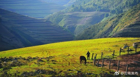 云南环境空气质量预报