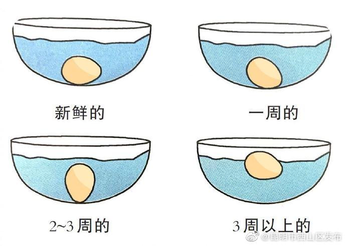 一碗水帮你鉴别鸡蛋新鲜度