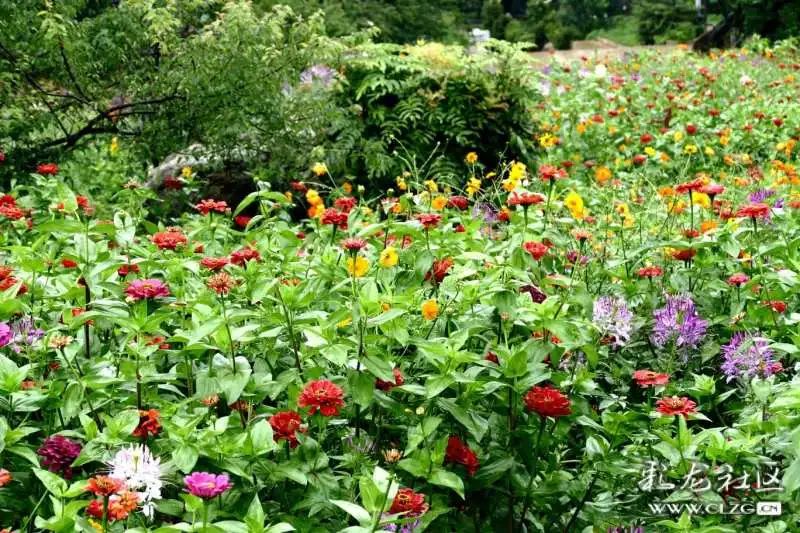 昆明市黑龙潭公园