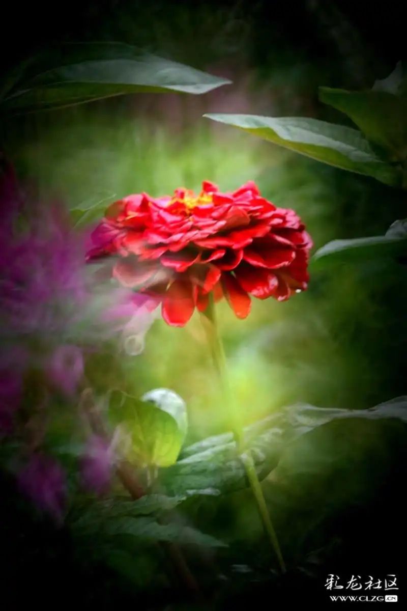 昆明市黑龙潭公园