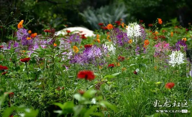 昆明市黑龙潭公园