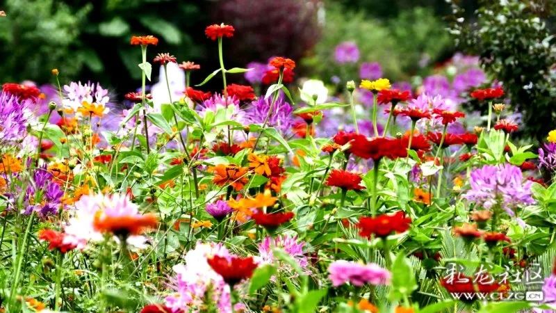 昆明市黑龙潭公园