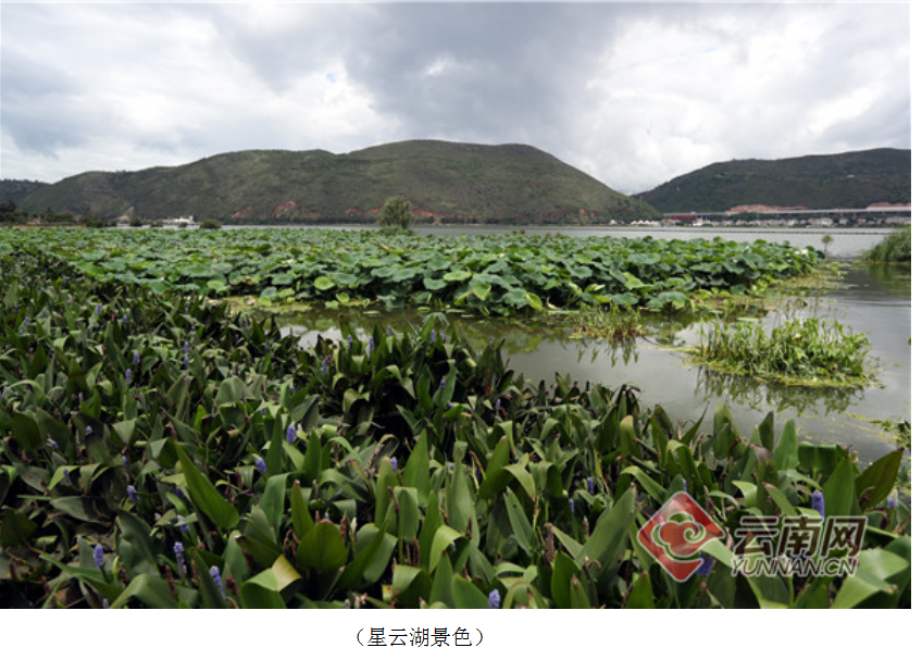 云南省文化和旅游厅