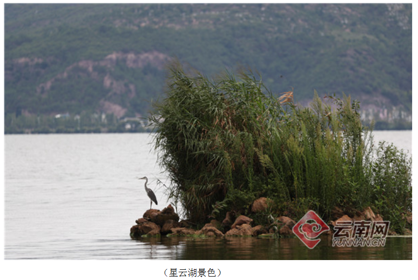 云南省文化和旅游厅