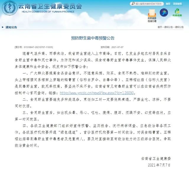 春城晚报(微信)