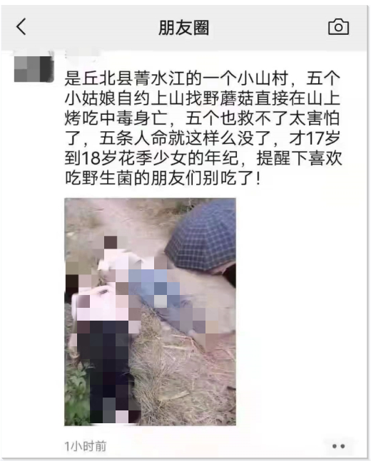 春城晚报(微信)