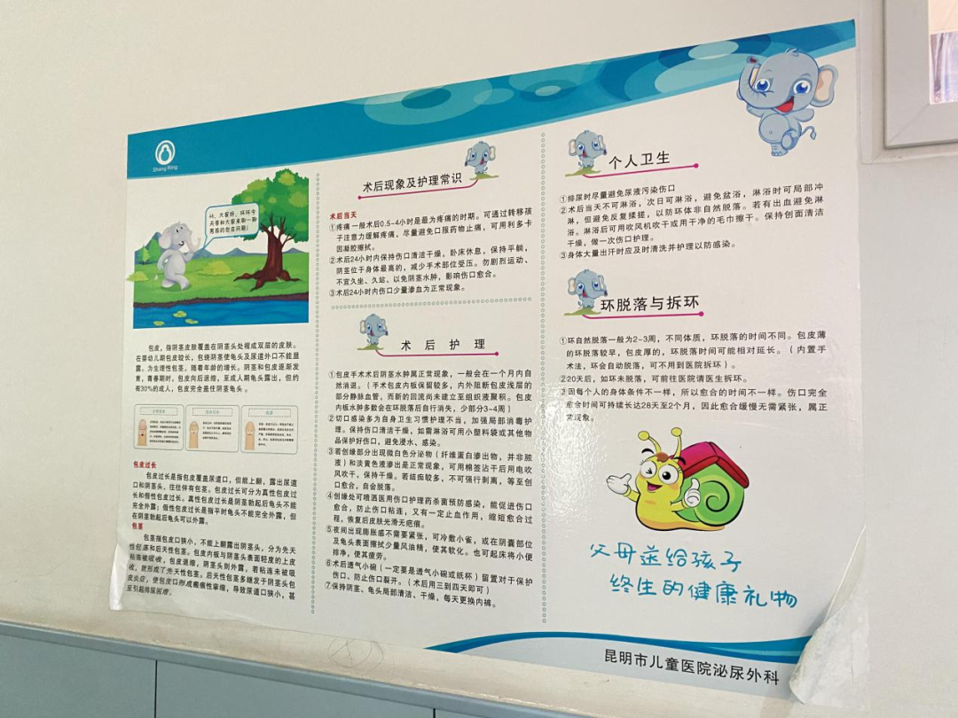 春城晚报(微信)