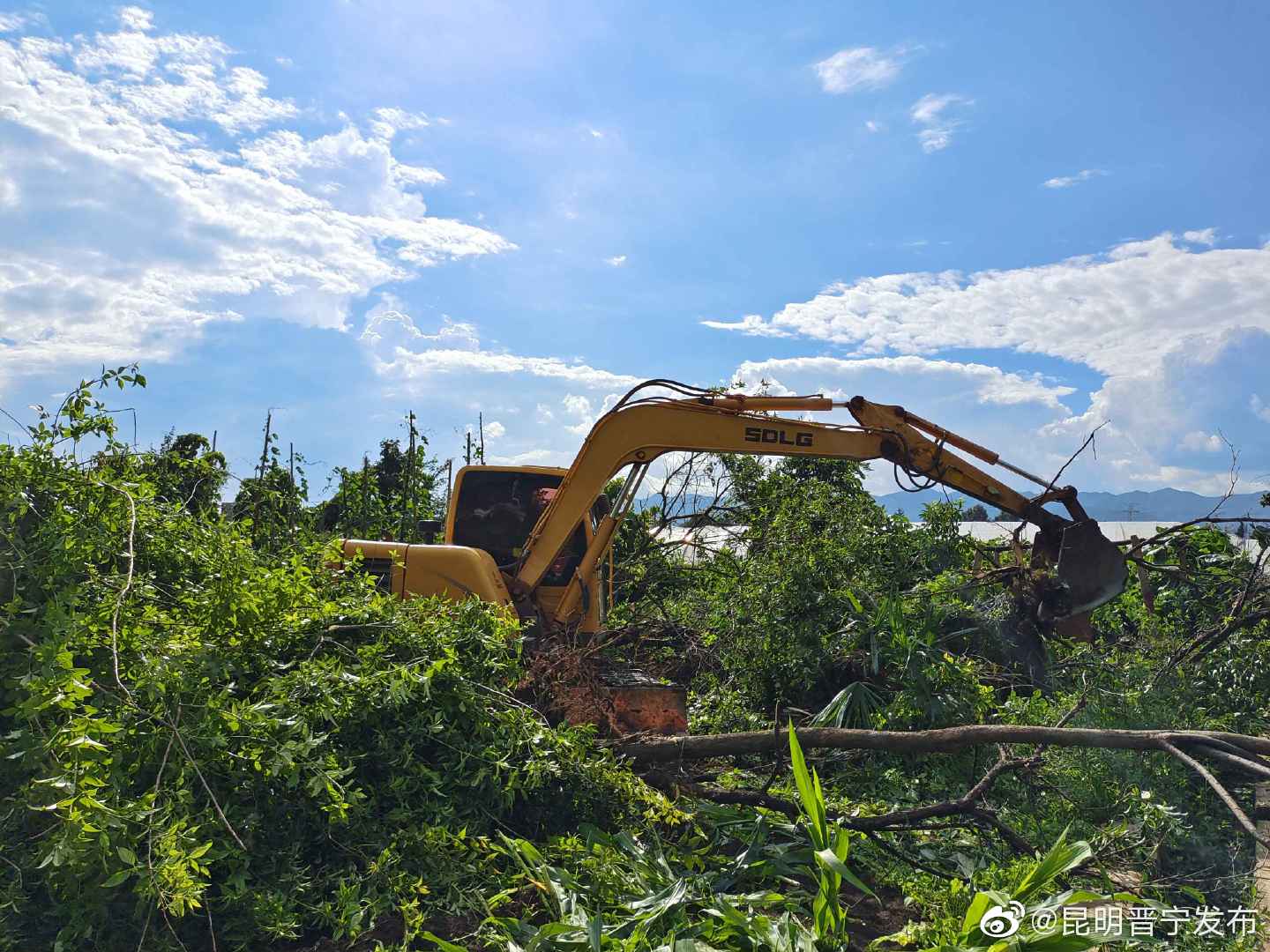 “昆明晋宁发布”微博