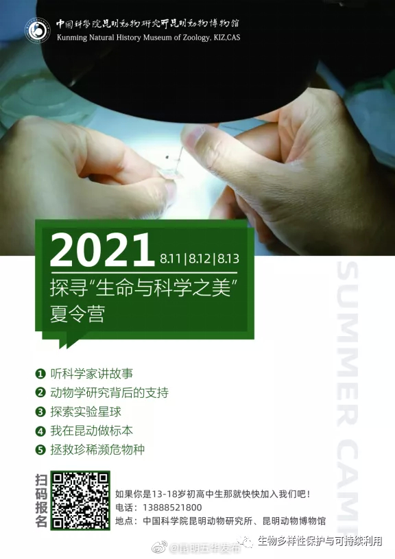 探寻“生命与科学之美”——中学生暑期实践夏令营 第一期