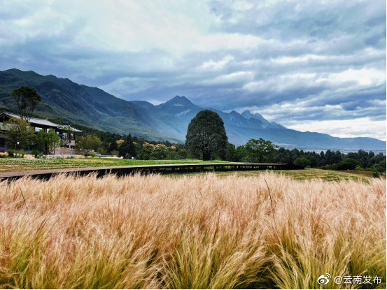 云南环境空气质量预报