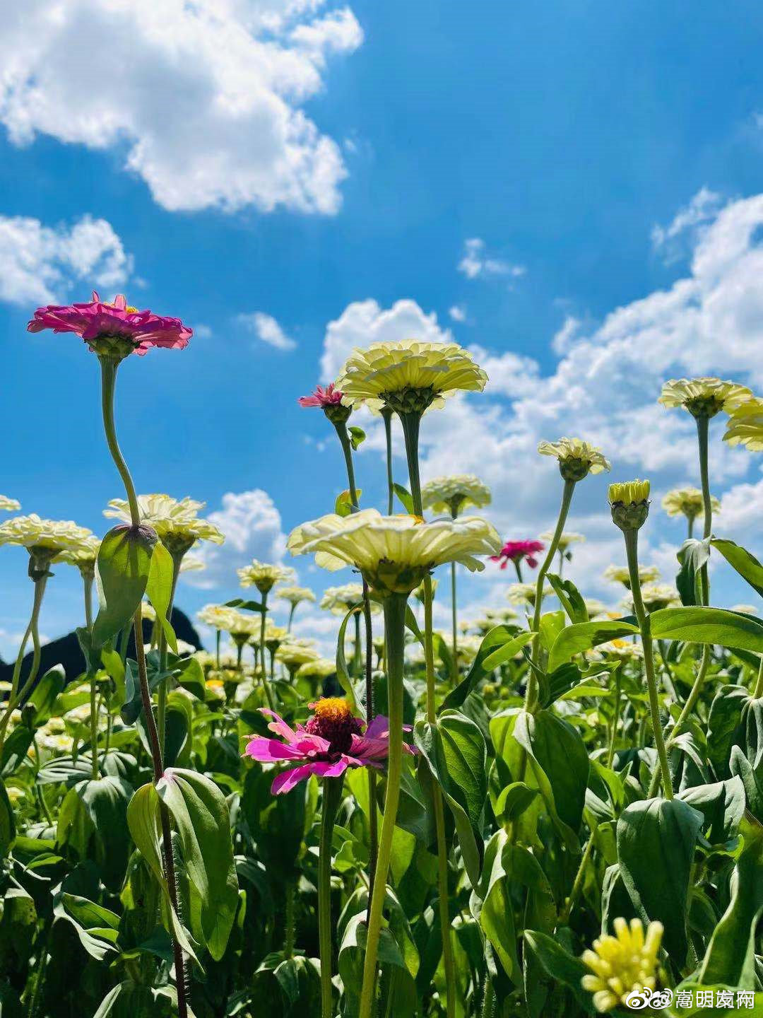 云南省未来24小时天气预报