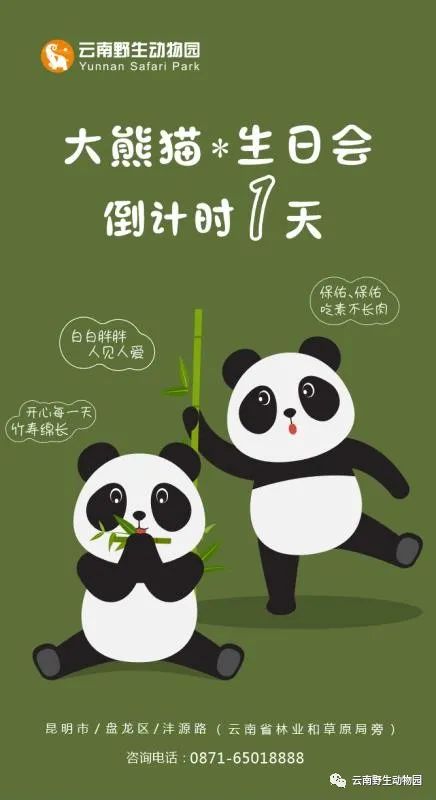 “7.25双猫生日会”倒计时1天，我们熊猫馆见。