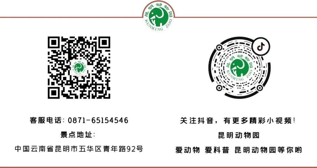 昆明动物园