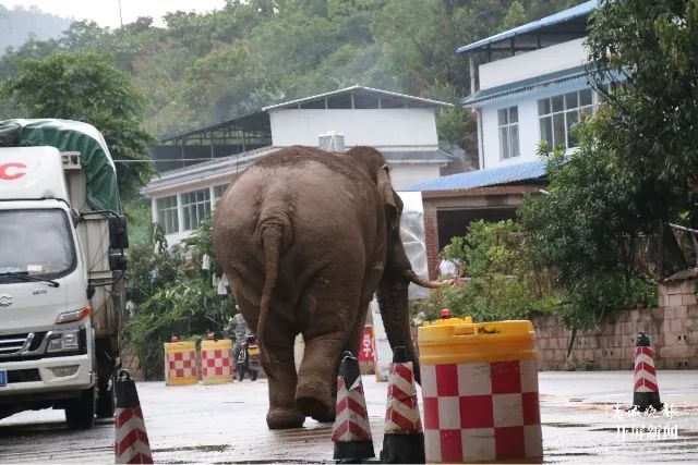 春城晚报(微信)