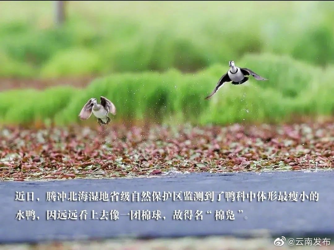 “云南发布”微博