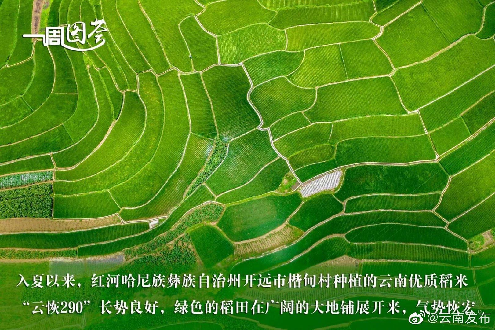 “云南发布”微博