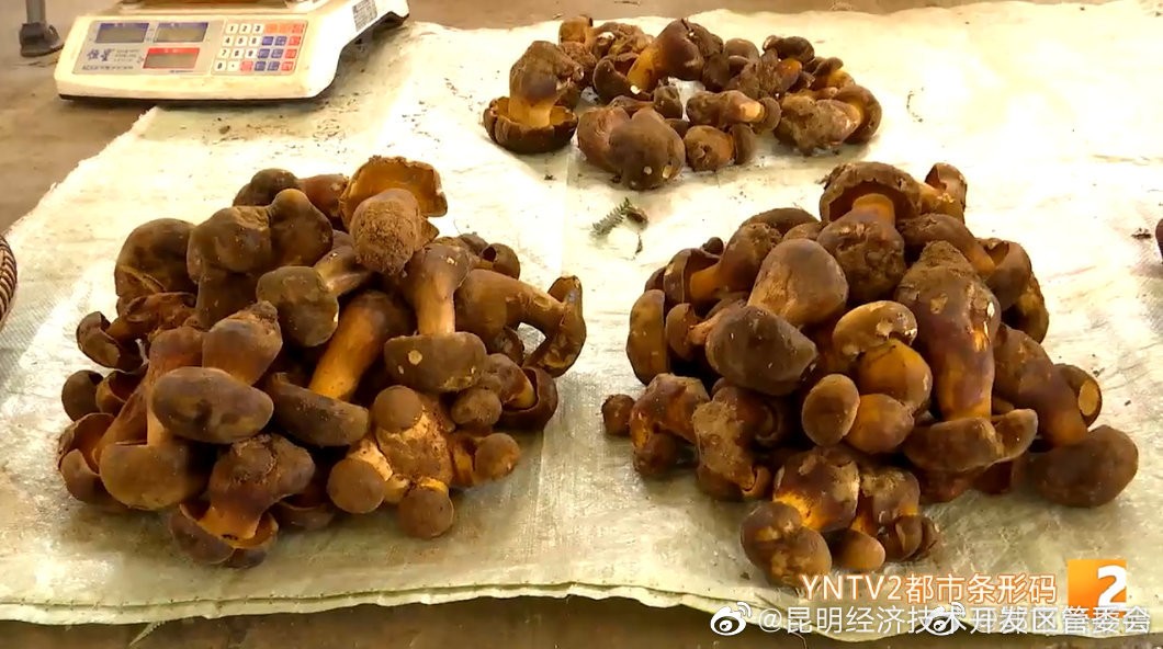 “昆明经济技术开发区管委会”微博