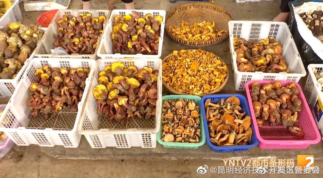 “昆明经济技术开发区管委会”微博