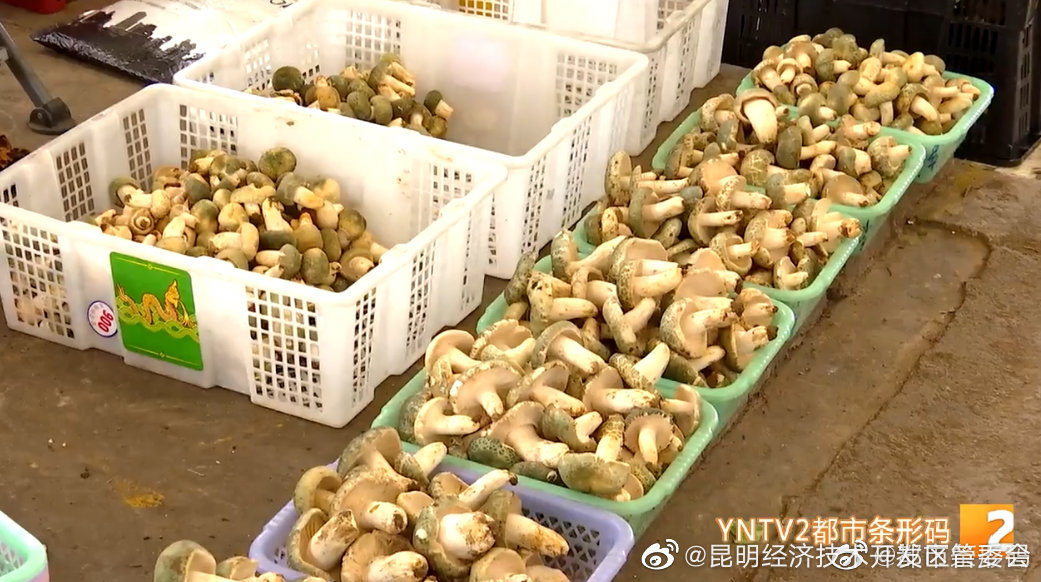 “昆明经济技术开发区管委会”微博