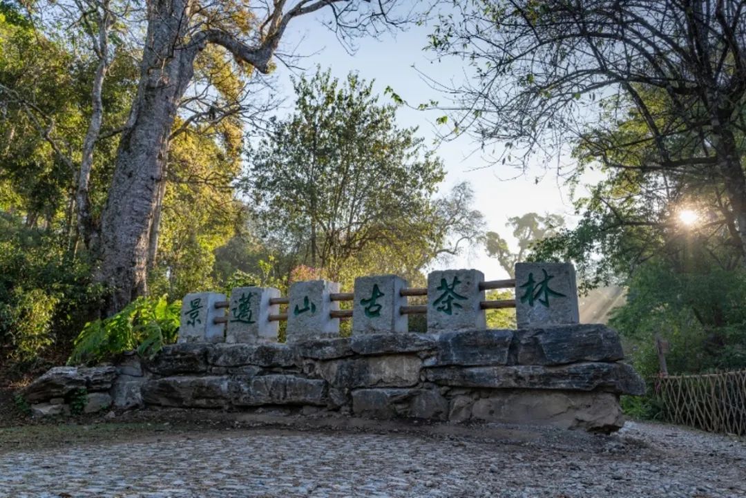 春城晚报(微信)