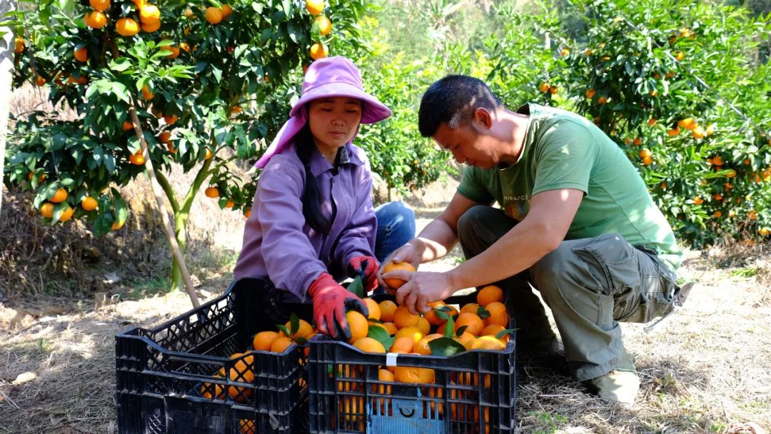 云南省人民政府网