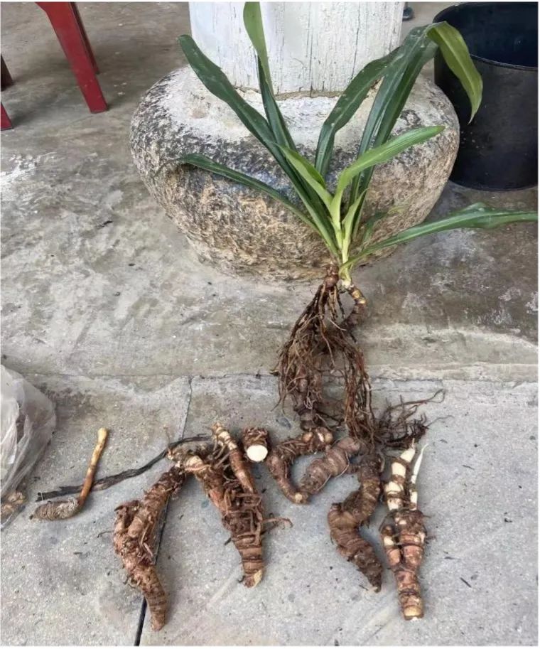 云南疾控(微信)