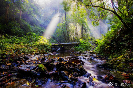 云南环境空气质量预报