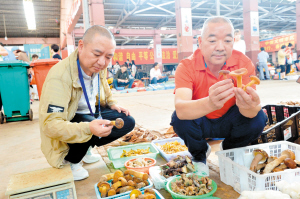“一户一档”确保野生菌信息可追溯
