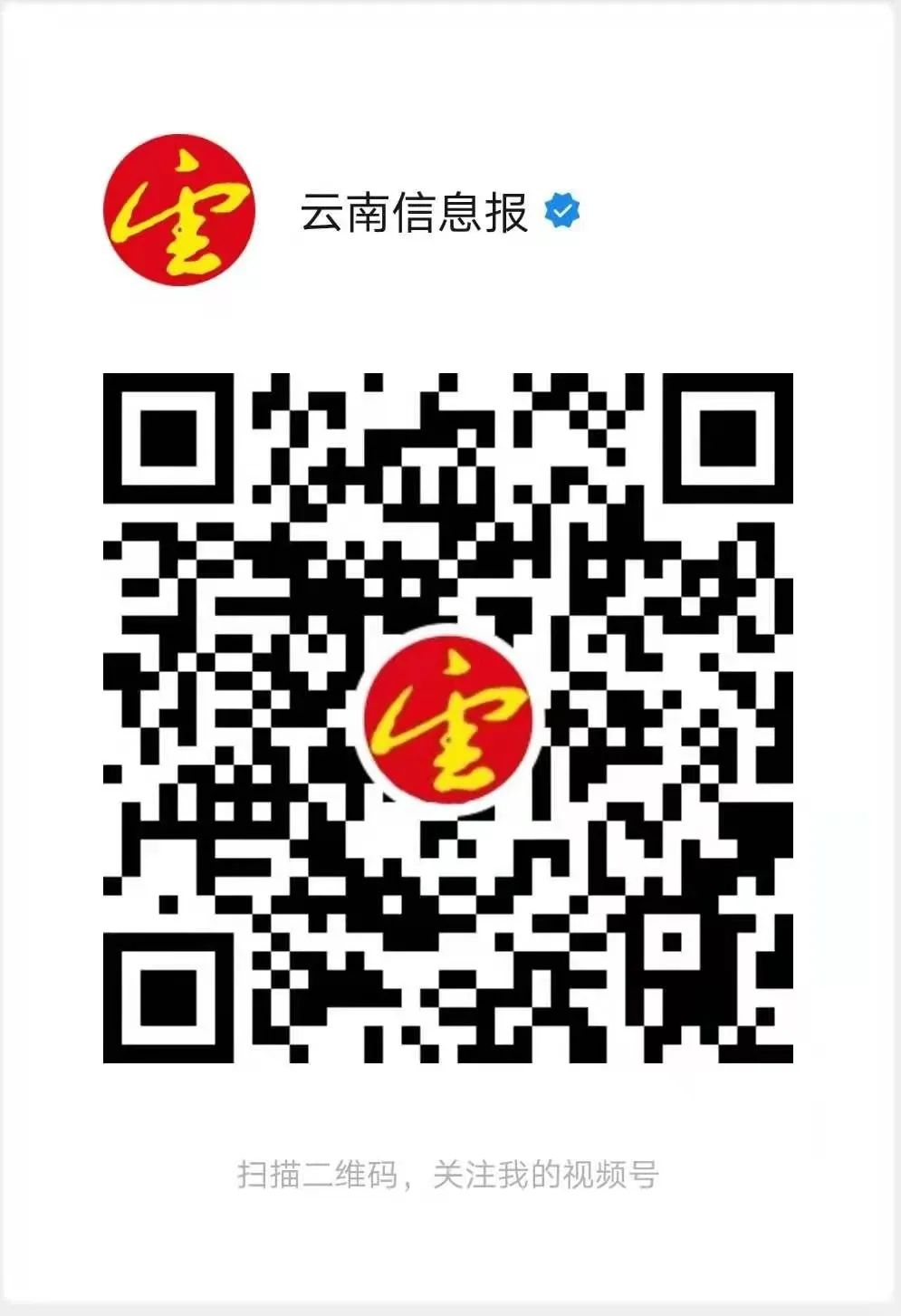 云南信息报(微信)