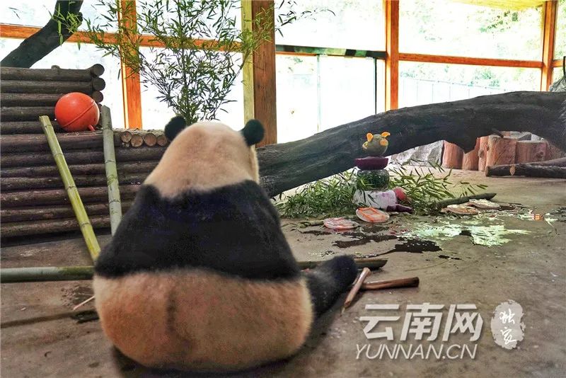 玉溪发布(微信)