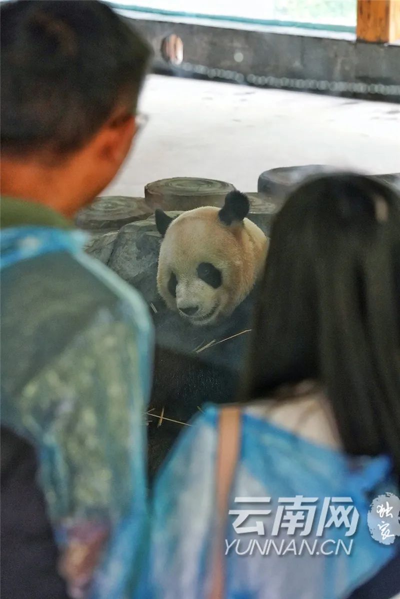 玉溪发布(微信)