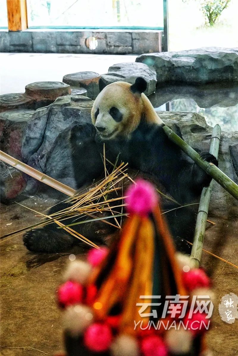 玉溪发布(微信)