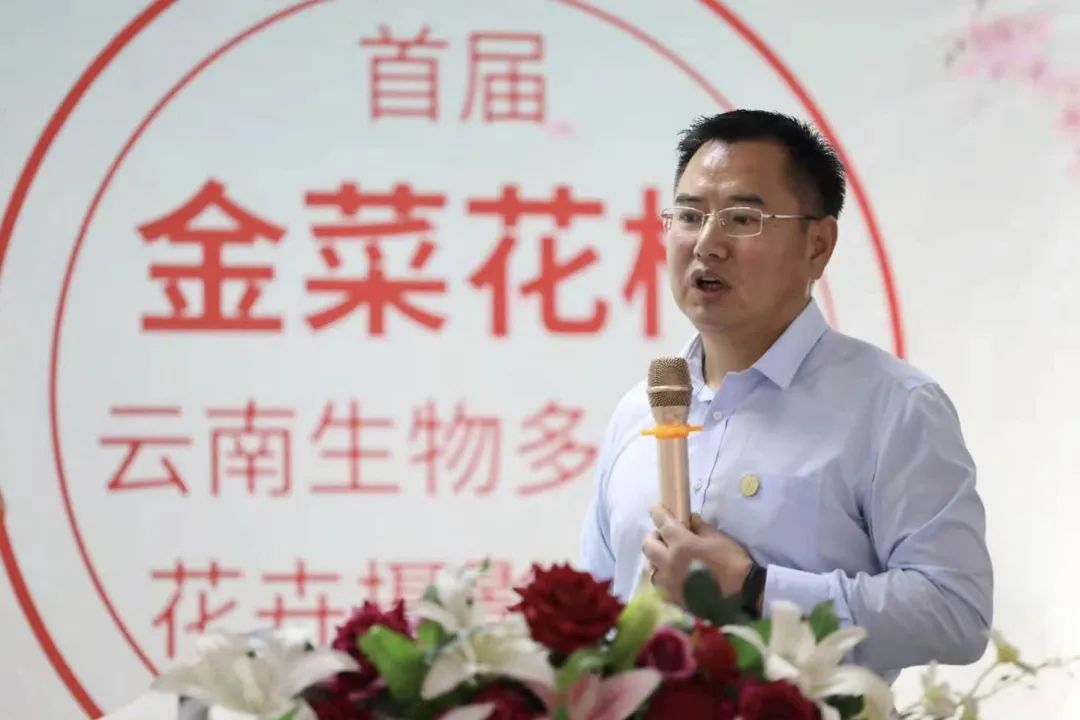 春城晚报(微信)