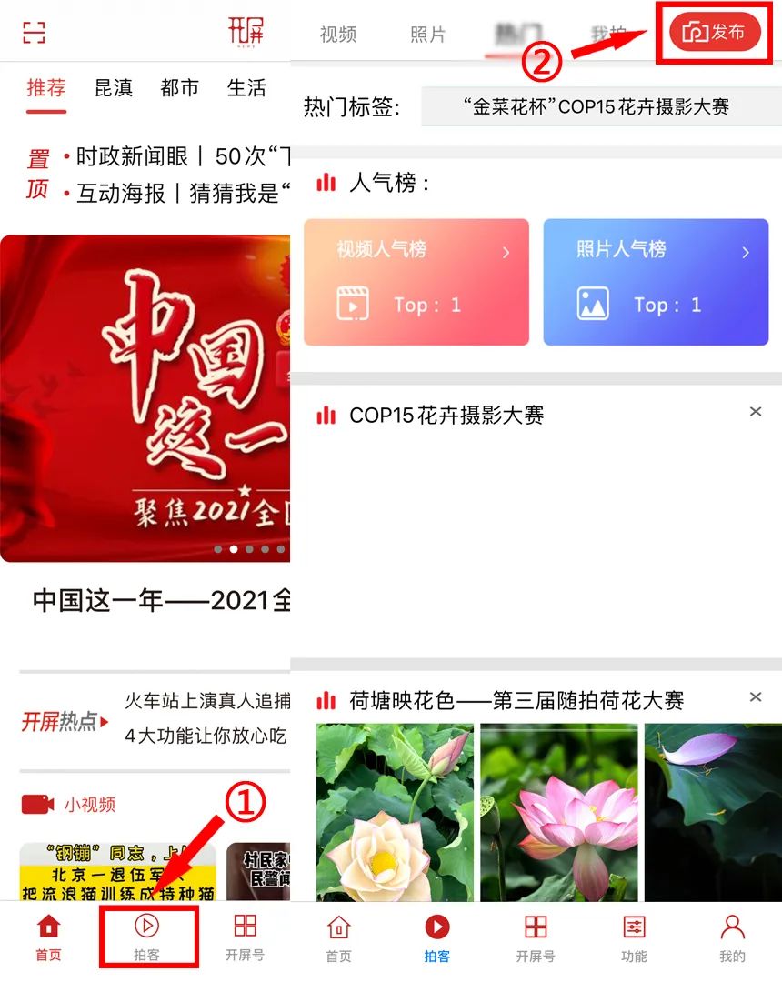 春城晚报(微信)