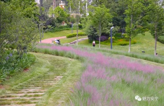 春城晚报(微信)