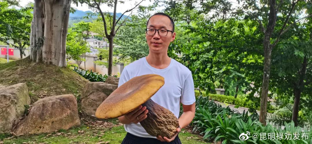 “昆明禄劝发布”微博