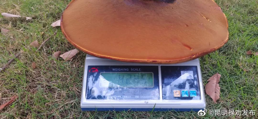 “昆明禄劝发布”微博