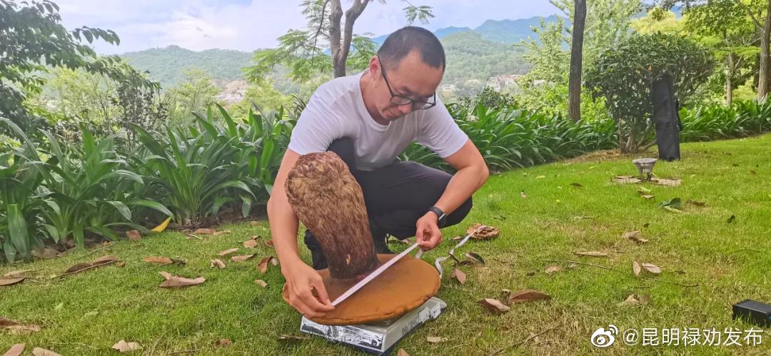 “昆明禄劝发布”微博