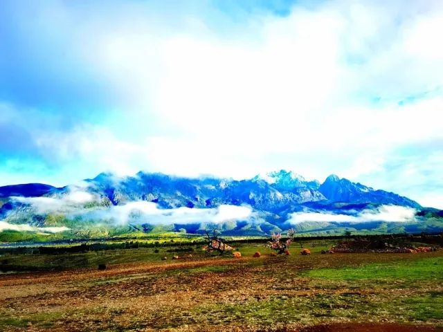 春城晚报(微信)