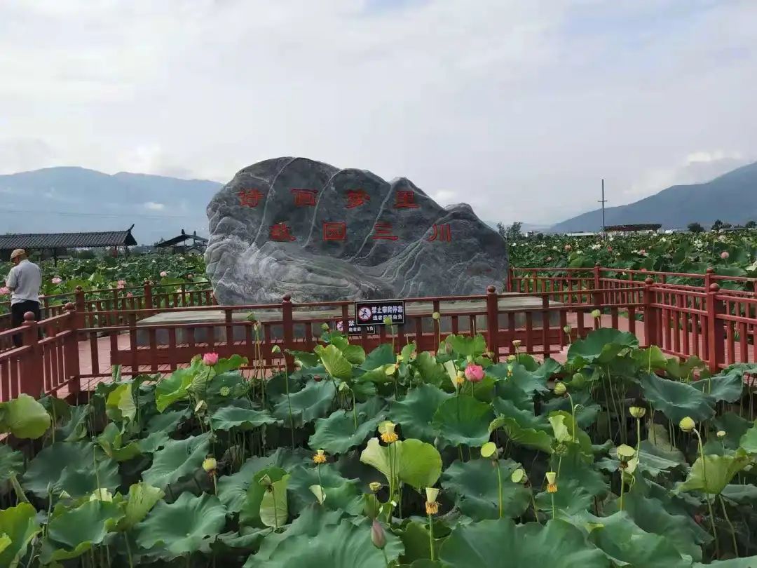 丽江日报(微信)