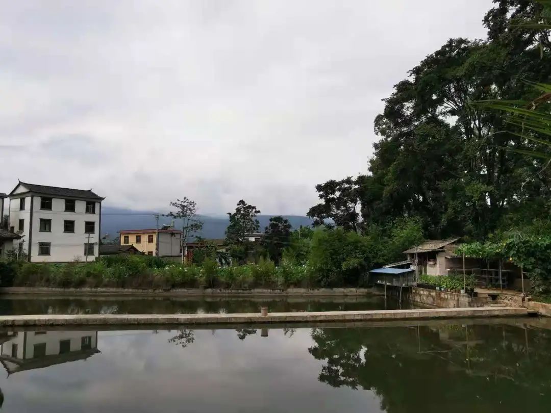 丽江日报(微信)