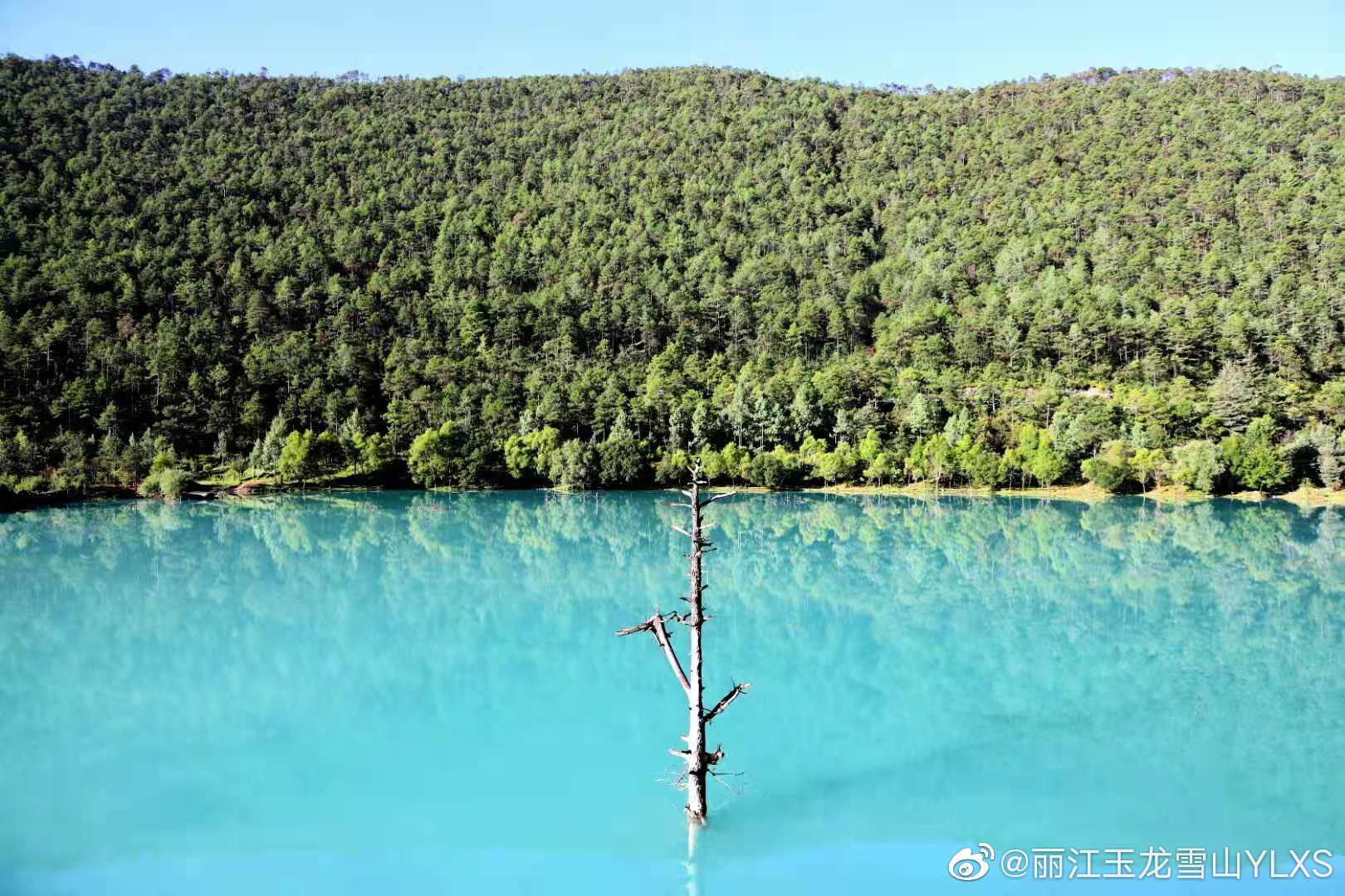 丽江玉龙雪山YLXS微博