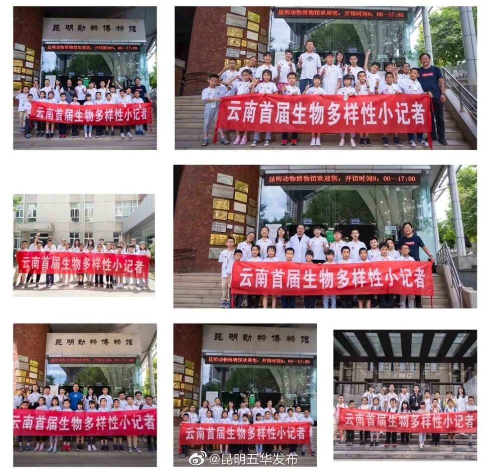 “昆明五华发布”微博
