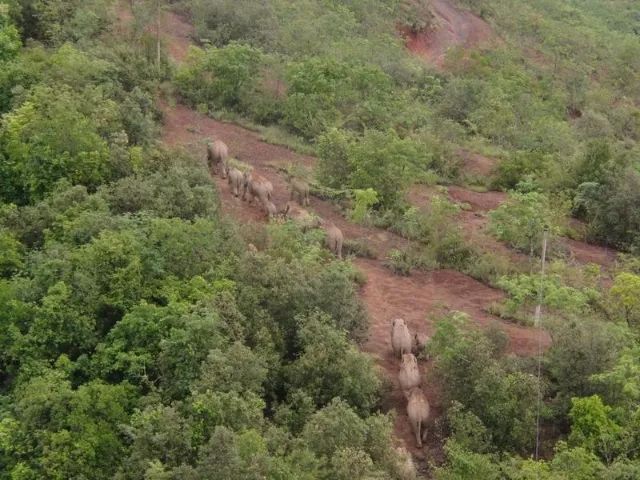 春城晚报(微信)